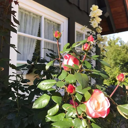 Apartment Klaus Und Erika Köninger Sasbachwalden
